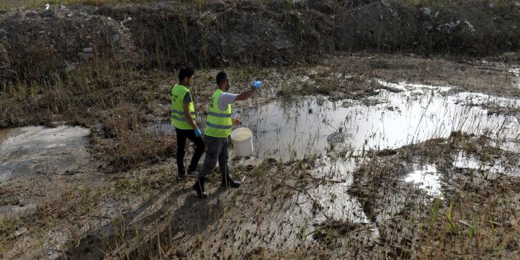 Gönyeli-Alayköy Belediyesi sivrisinek ve haşere ile “üç koldan” mücadele ediyor