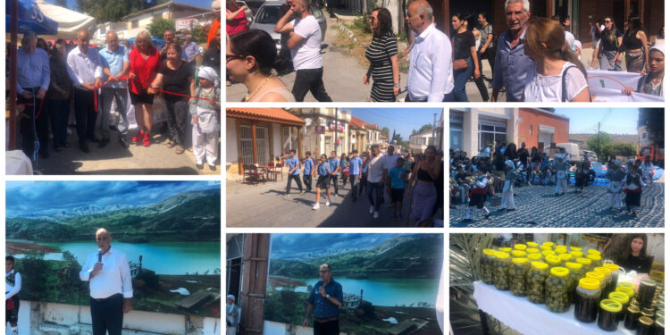 Lefke Ceviz Festivali başladı