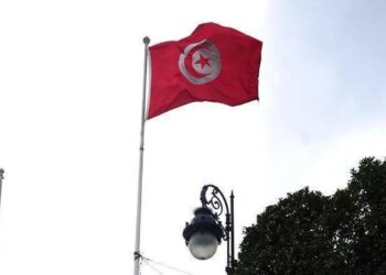 Tunuslu sanatçı Boşnak, BM İyi Niyet Elçisi unvanından vazgeçme kararını değerlendirdi