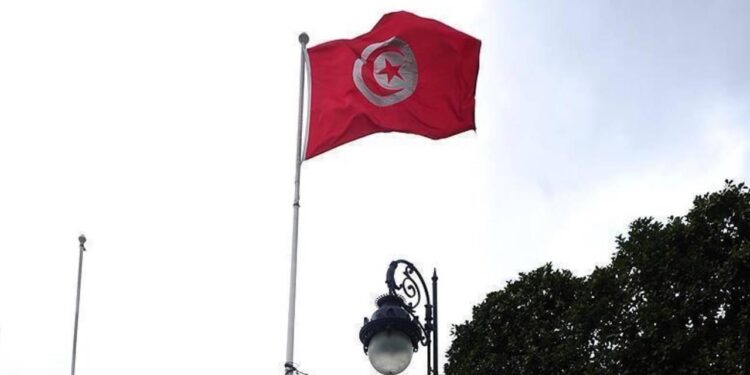 Tunuslu sanatçı Boşnak, BM İyi Niyet Elçisi unvanından vazgeçme kararını değerlendirdi