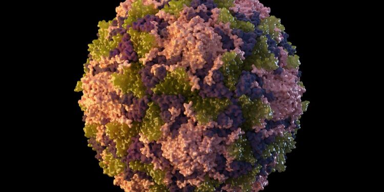 Bilim insanları Kuzey Amerika'da ilk henipavirüsü Keşfetti: Pandemiye dönüşebilir mi?